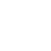 COVID-19 virus icon