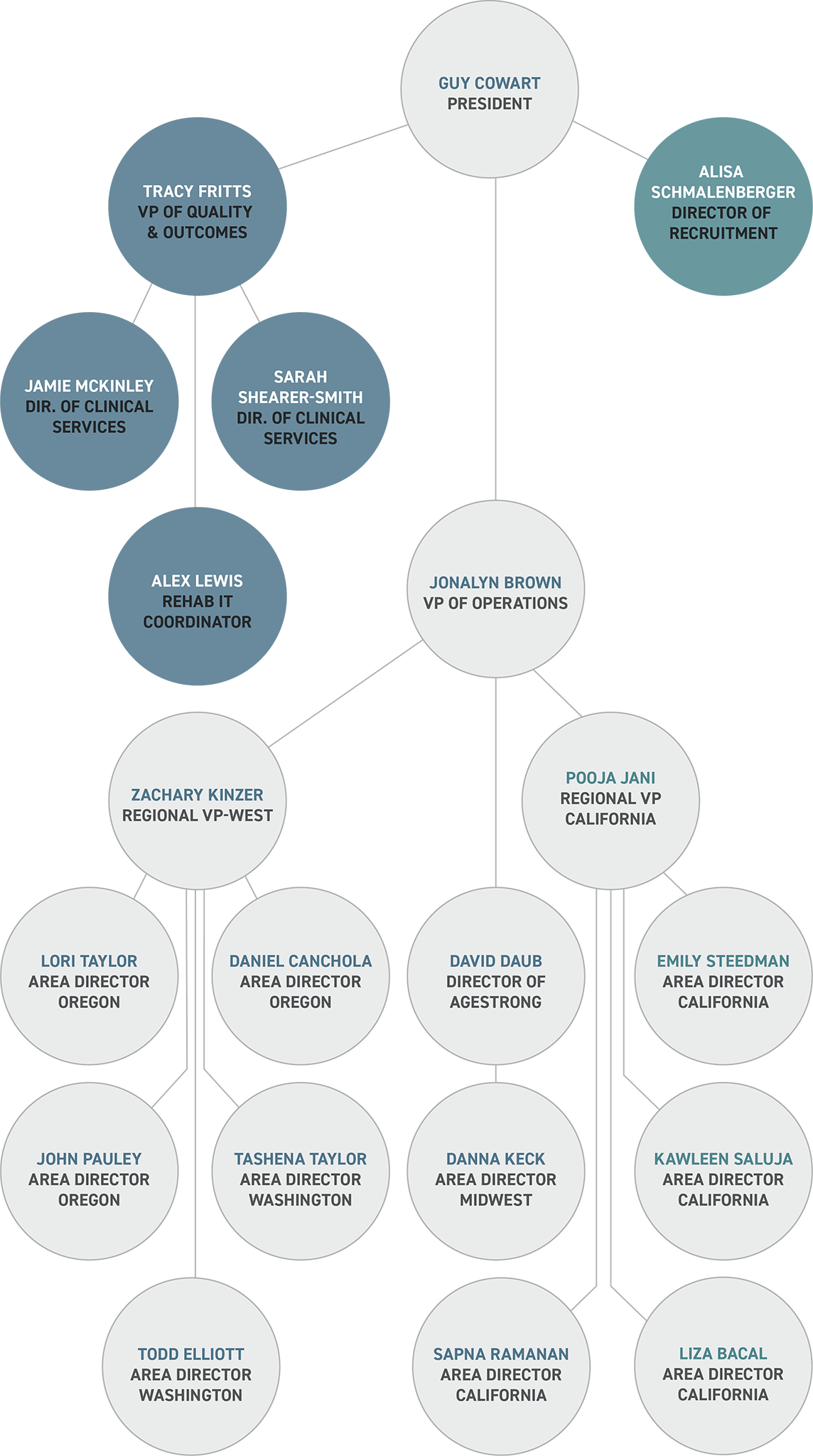 company hierarchy